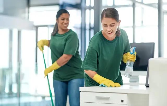 Domestic Cleaning Services in London: Your Complete Guide to Spotless Living